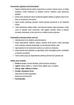 Konspekts 'Darbmācībā pielietojamās mācību un audzināšanas metodes', 3.