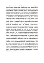 Referāts 'Krievijas lēmumu pieņemšanas specifika', 9.