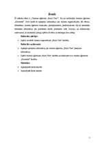 Referāts 'Tūrisma aģentūra "Bulta Tūrs"', 3.