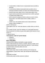 Referāts 'Tūrisma aģentūra "Bulta Tūrs"', 5.