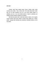 Referāts 'Zvērināta notāra ētika, sniedzot informāciju par savu darbību', 3.