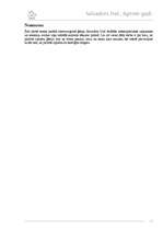 Referāts 'Salvadors Dalī. Agrīnie gadi', 11.