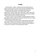 Prakses atskaite 'Grāmatvedības prakses atskaite', 2.