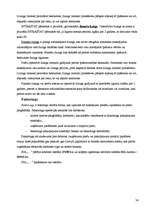 Prakses atskaite 'Grāmatvedības prakses atskaite', 36.