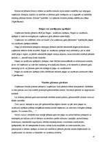 Prakses atskaite 'Grāmatvedības prakses atskaite', 41.