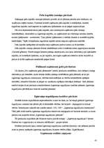 Prakses atskaite 'Grāmatvedības prakses atskaite', 42.