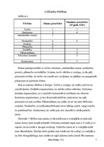 Referāts 'Profesionālais poligons', 7.