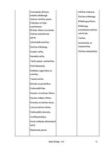 Referāts 'Profesionālais poligons', 21.