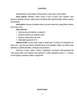 Referāts 'Basketbols Ernsta Glika Alūksnes Valsts ģimnāzijā', 2.