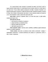 Referāts 'Basketbols Ernsta Glika Alūksnes Valsts ģimnāzijā', 5.