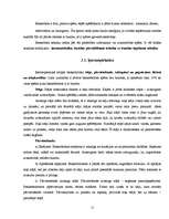 Referāts 'Basketbols Ernsta Glika Alūksnes Valsts ģimnāzijā', 11.