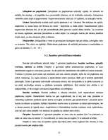 Referāts 'Basketbols Ernsta Glika Alūksnes Valsts ģimnāzijā', 12.