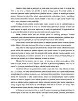 Referāts 'Basketbols Ernsta Glika Alūksnes Valsts ģimnāzijā', 13.