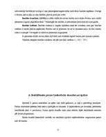 Referāts 'Basketbols Ernsta Glika Alūksnes Valsts ģimnāzijā', 15.