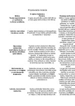 Konspekts 'Jaunlatvieši', 1.