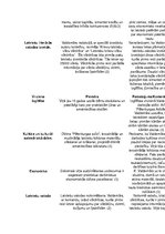 Konspekts 'Jaunlatvieši', 2.