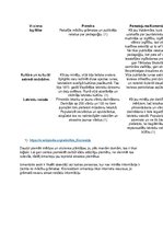 Konspekts 'Jaunlatvieši', 4.