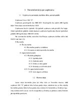 Biznesa plāns 'Biznesa plāns - koka karkasu māju būvniecība Zviedrijā', 4.