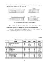 Biznesa plāns 'Biznesa plāns - koka karkasu māju būvniecība Zviedrijā', 38.