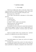 Biznesa plāns 'Biznesa plāns - koka karkasu māju būvniecība Zviedrijā', 40.