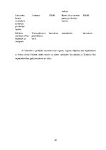 Biznesa plāns 'Biznesa plāns - koka karkasu māju būvniecība Zviedrijā', 42.