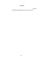 Biznesa plāns 'Biznesa plāns - koka karkasu māju būvniecība Zviedrijā', 54.