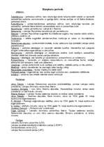 Konspekts 'Starpkaru periods Latvijā', 1.