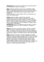 Prezentācija 'Krāsu pasaule', 6.