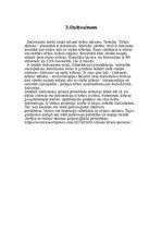 Prezentācija 'Krāsu pasaule', 9.