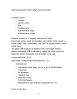 Referāts 'Biroja ēka ar noliktavu', 14.