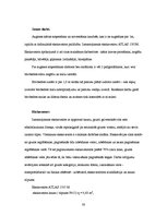 Referāts 'Biroja ēka ar noliktavu', 38.