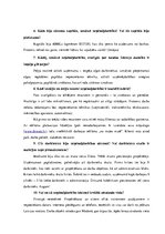 Konspekts 'Intervija ar uzņēmēju', 3.