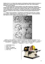 Konspekts 'Koka iztrādājumu noslēdzošā apstrāde - sagatavošana apdarei', 13.