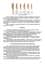 Konspekts 'Koka iztrādājumu noslēdzošā apstrāde - sagatavošana apdarei', 18.