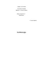 Referāts 'Konflikti', 1.