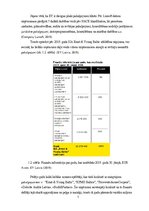 Prakses atskaite 'Prakses pārskats SIA "Ernst & Young Baltic"', 7.