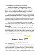 Prakses atskaite 'Prakses pārskats SIA "Ernst & Young Baltic"', 19.