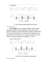 Prakses atskaite 'Prakses pārskats SIA "Ernst & Young Baltic"', 29.