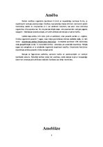 Konspekts 'Referāts parazitoloģijā', 4.