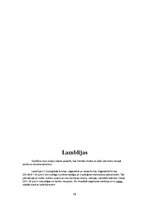 Konspekts 'Referāts parazitoloģijā', 10.