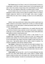 Referāts 'Grafoloģija', 13.