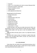 Referāts 'Grafoloģija', 18.