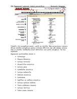 Konspekts 'SIA "Aigasnams" interneta veikala apraksts', 2.