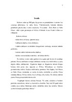 Referāts 'Kubisms', 3.