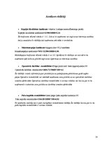 Biznesa plāns 'Biznesa plāns', 28.