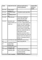 Prakses atskaite 'Prakses atskaite - jurista palīgs Autotransporta direkcijā', 3.