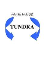 Referāts 'Tundra', 1.