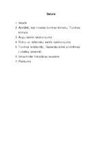 Referāts 'Tundra', 2.