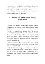 Referāts 'Tundra', 4.