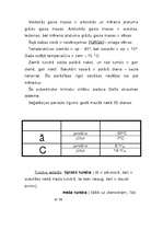 Referāts 'Tundra', 5.